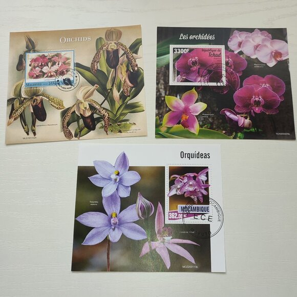 Academia Set 3 Stamp Souvenir Sheets Orchids Nature Collectible Djibouti 2017 - Picture 1 of 6